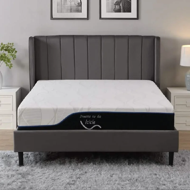 Polyester - foam mattresses for budget - friendly optionsDreams to Go Icicle Mattress