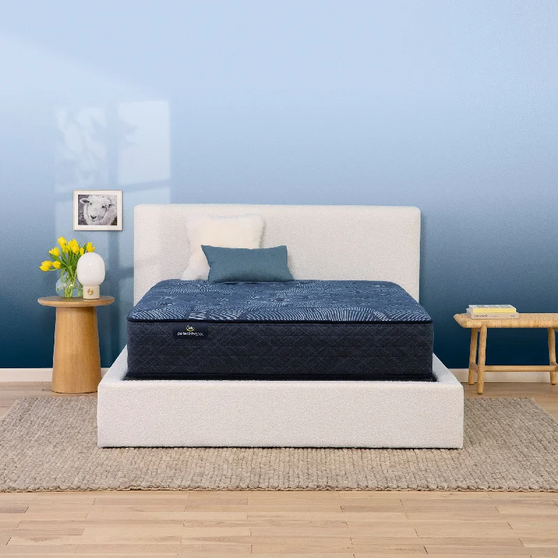 Memory foam mattresses for pressure relief and contouringSerta Perfect Sleeper Cobalt Calm Plush 13.5" Mattress